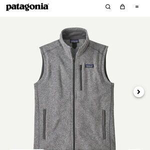 Patagonia L Heather Gray Fleece Vest